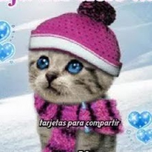 Meet your Posher, C - Picture 1 of 1